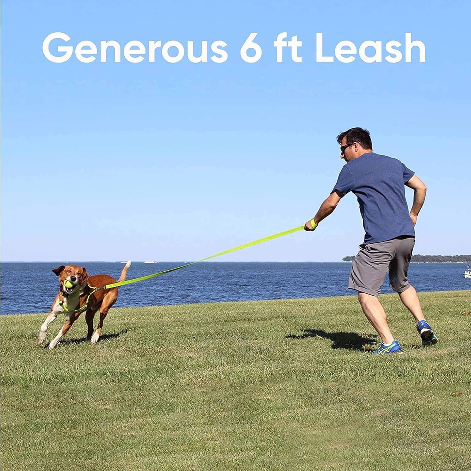 6 FT Solid Color Leash for Puppy Leash Dog Leash Comfortable Handle Dog Training Leash 6 Ft Dog Leash Extra Small Dog Leash / Small Dog Leash Green Dog Leash