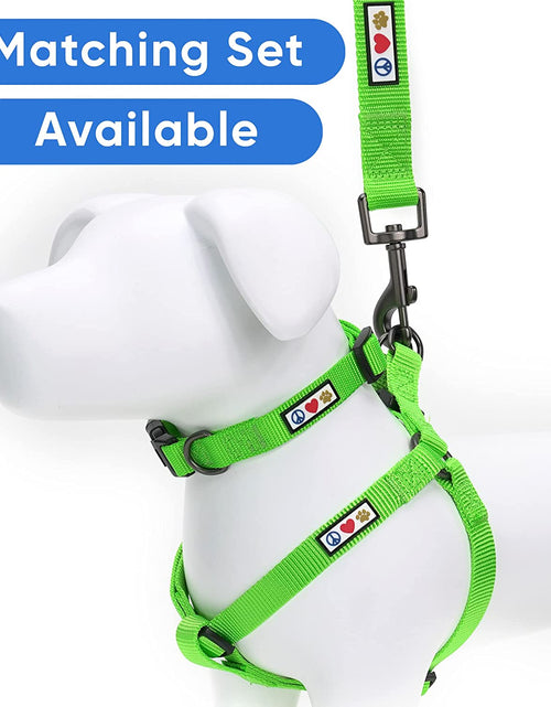 Load image into Gallery viewer, 6 FT Solid Color Leash for Puppy Leash Dog Leash Comfortable Handle Dog Training Leash 6 Ft Dog Leash Extra Small Dog Leash / Small Dog Leash Green Dog Leash
